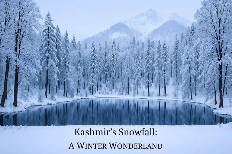 Kashmir’s Snowfall - A Winter Wonderland