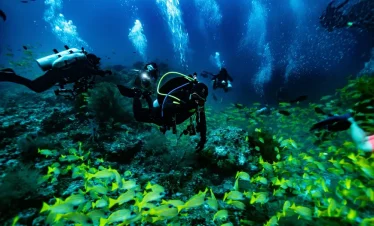 Scuba divers exploring vibrant coral reefs and marine life in the Maldives, a thrilling activity included in Maldives tour packages from Bangladesh