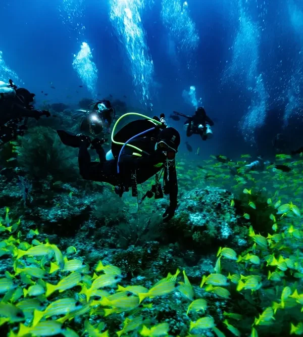 Scuba divers exploring vibrant coral reefs and marine life in the Maldives, a thrilling activity included in Maldives tour packages from Bangladesh