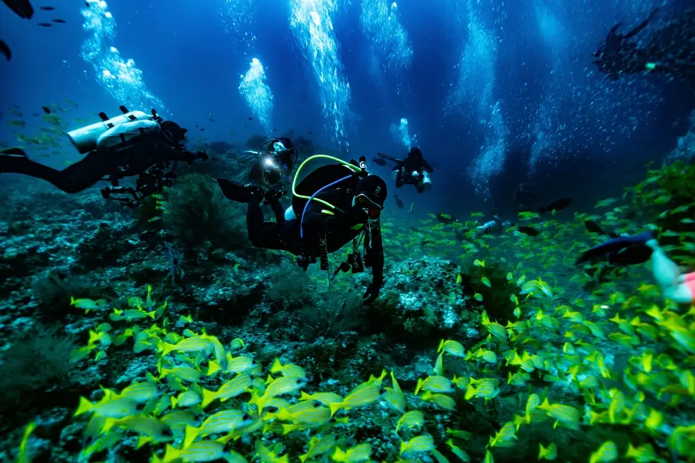 Scuba divers exploring vibrant coral reefs and marine life in the Maldives, a thrilling activity included in Maldives tour packages from Bangladesh